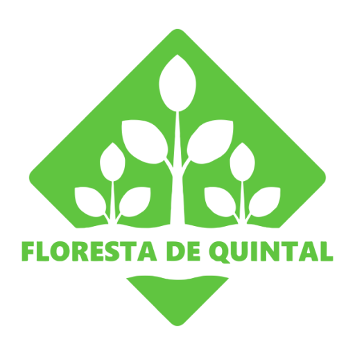 Floresta de Quintal - Jardim Vertical